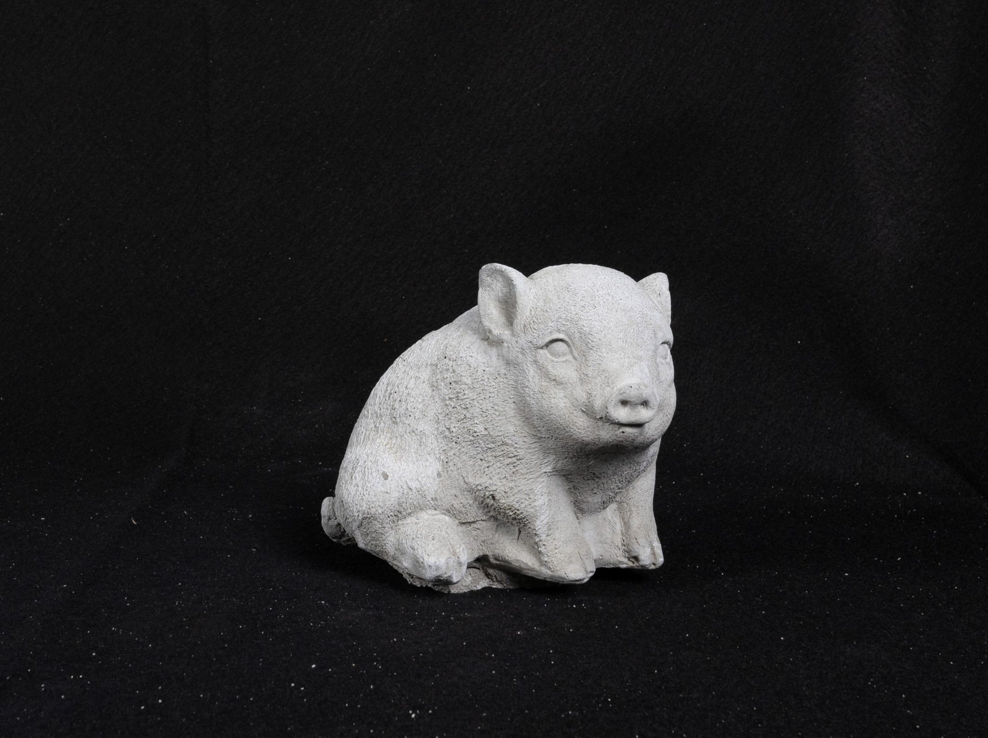 Pig - Micro