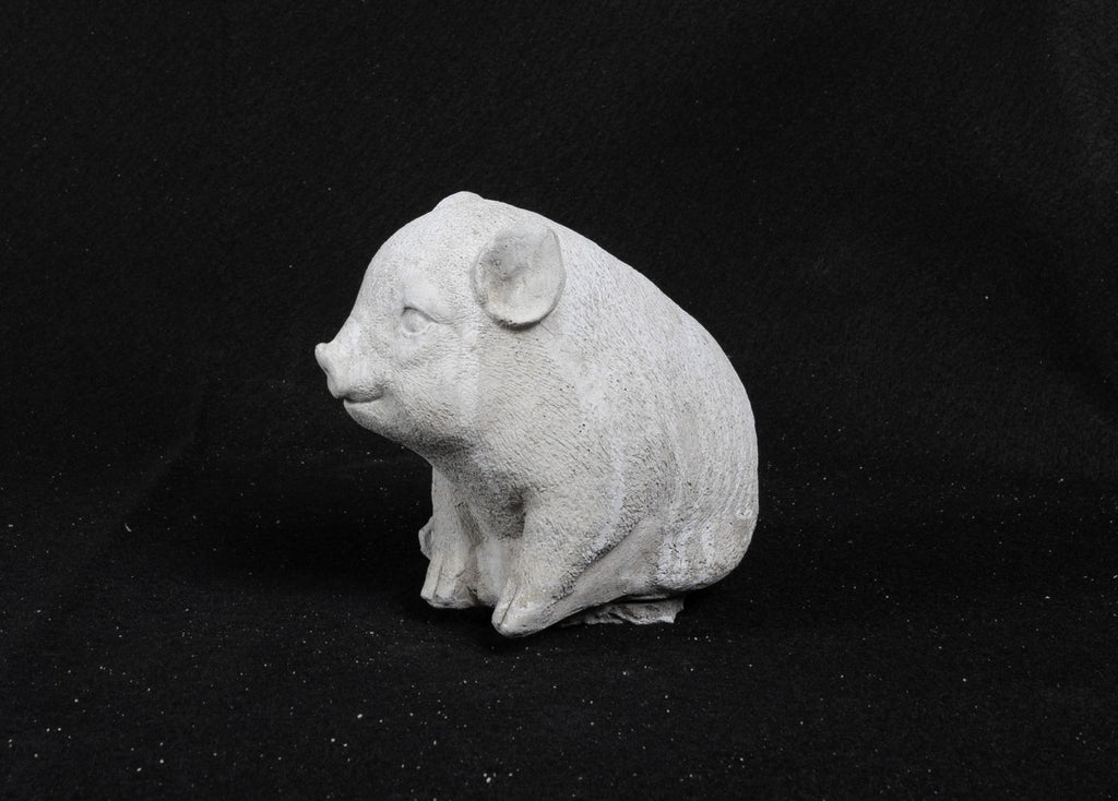 Pig - Micro