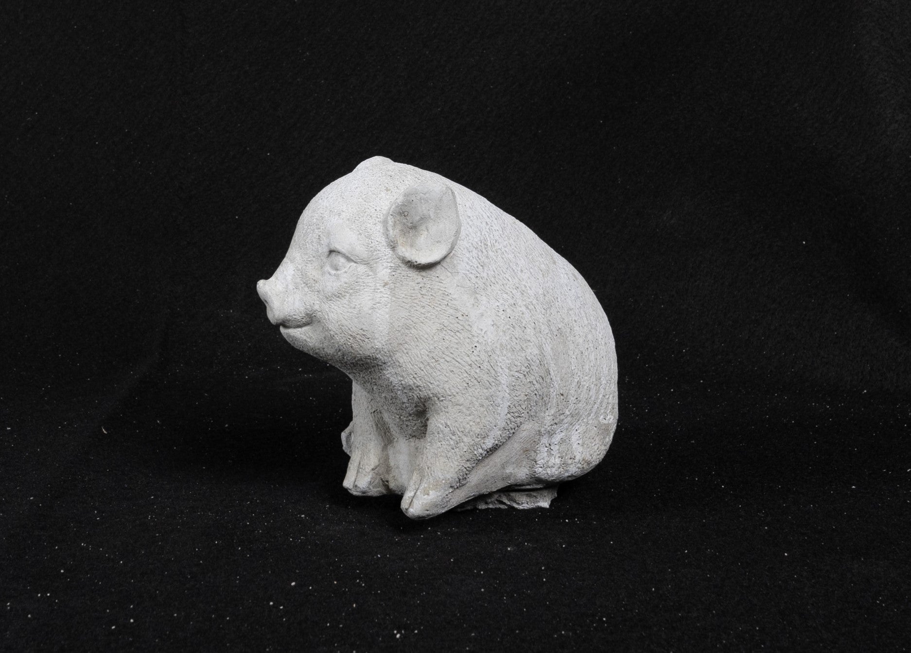 Pig - Micro