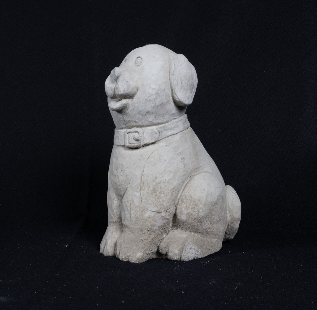 Dog Seated Cartoon