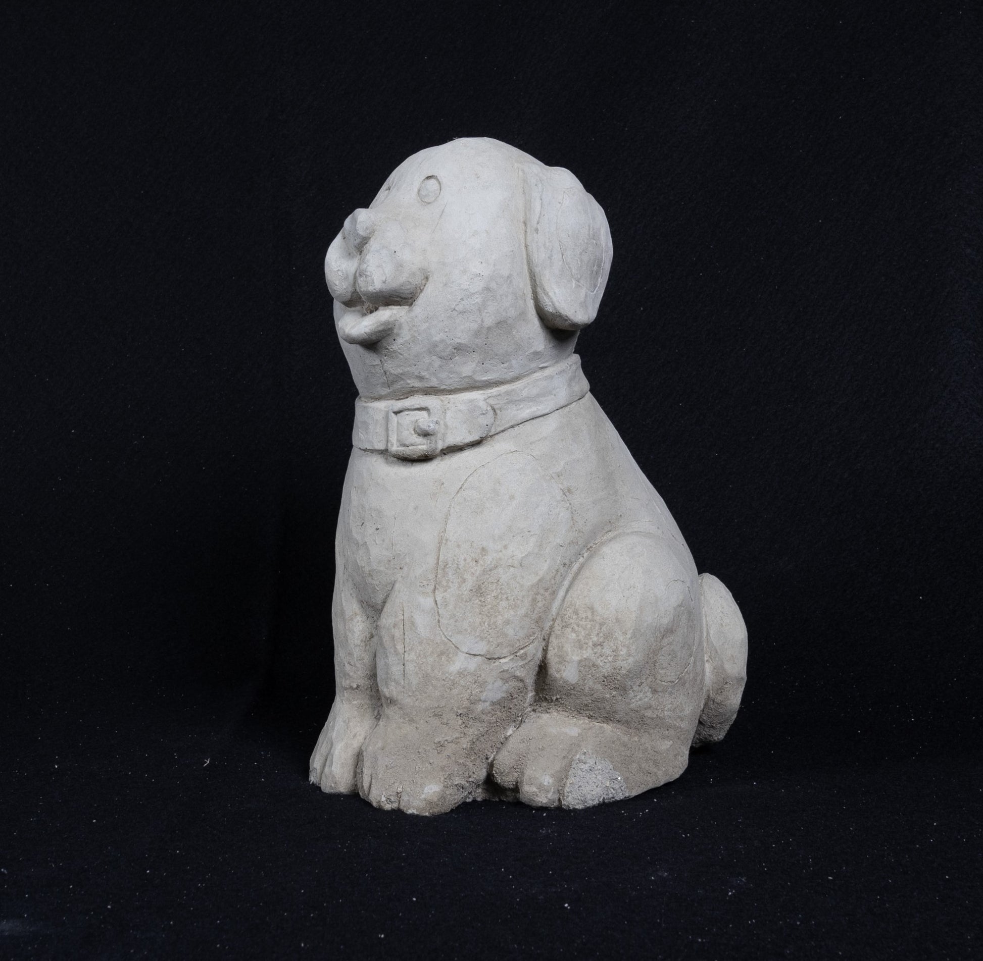 Dog Seated Cartoon