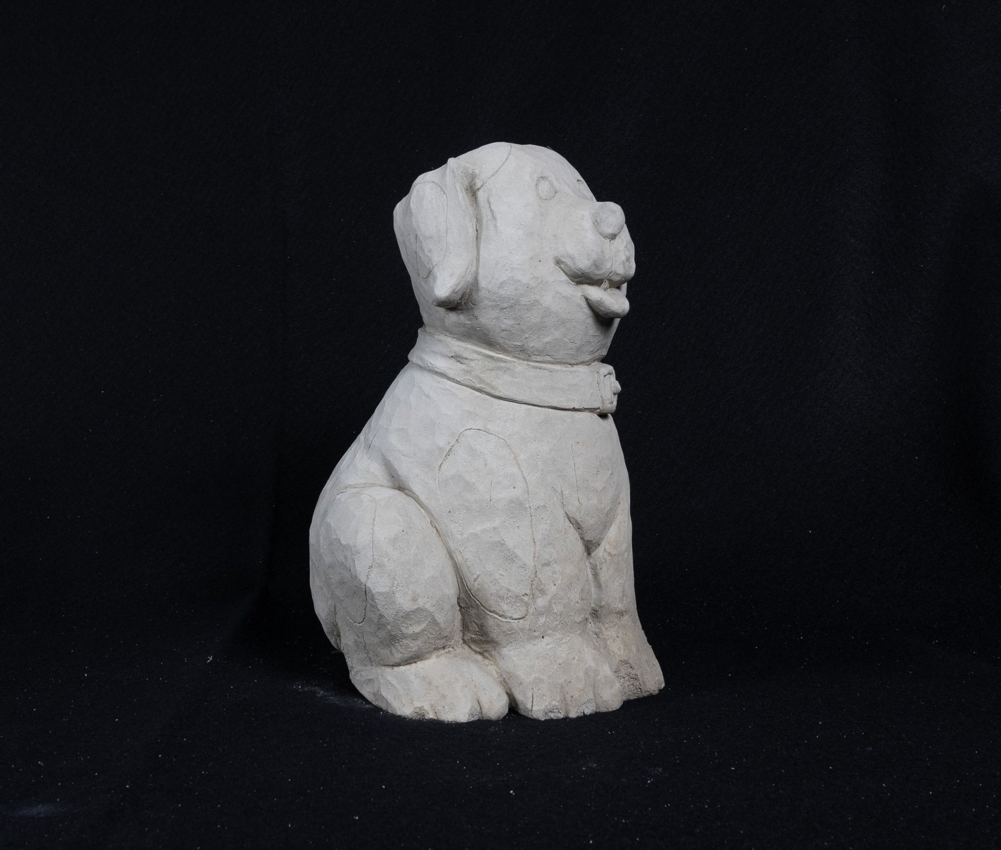 Dog Seated Cartoon