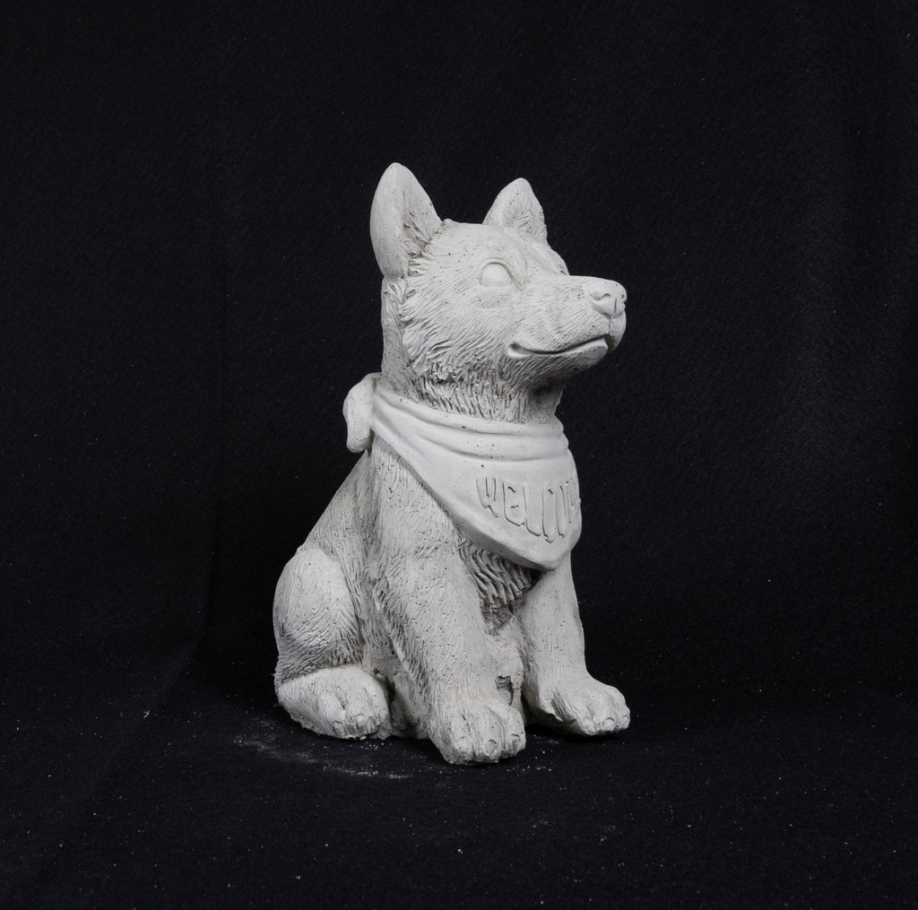 Bandana Welcome Dog