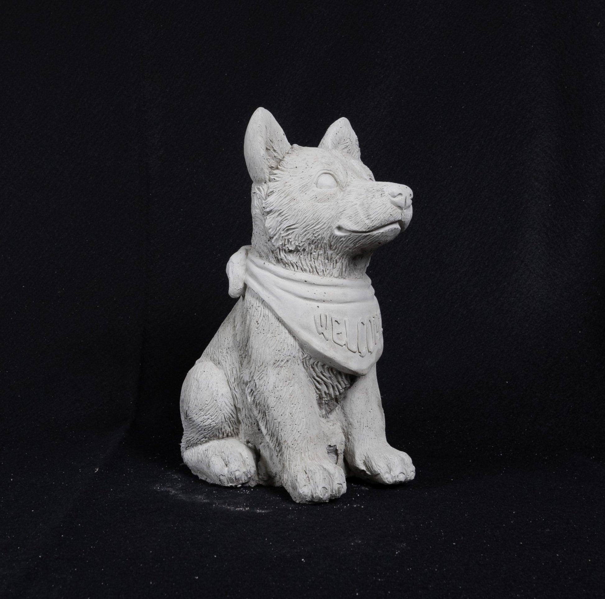 Bandana Welcome Dog