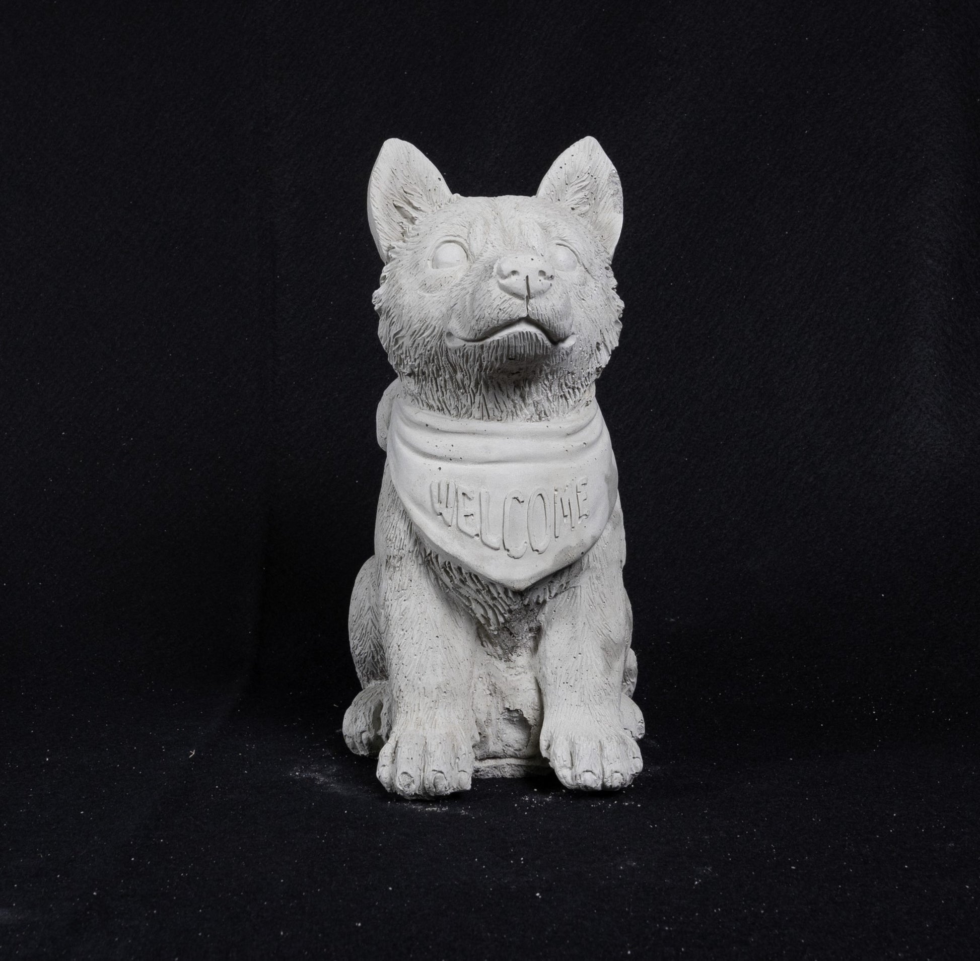 Bandana Welcome Dog