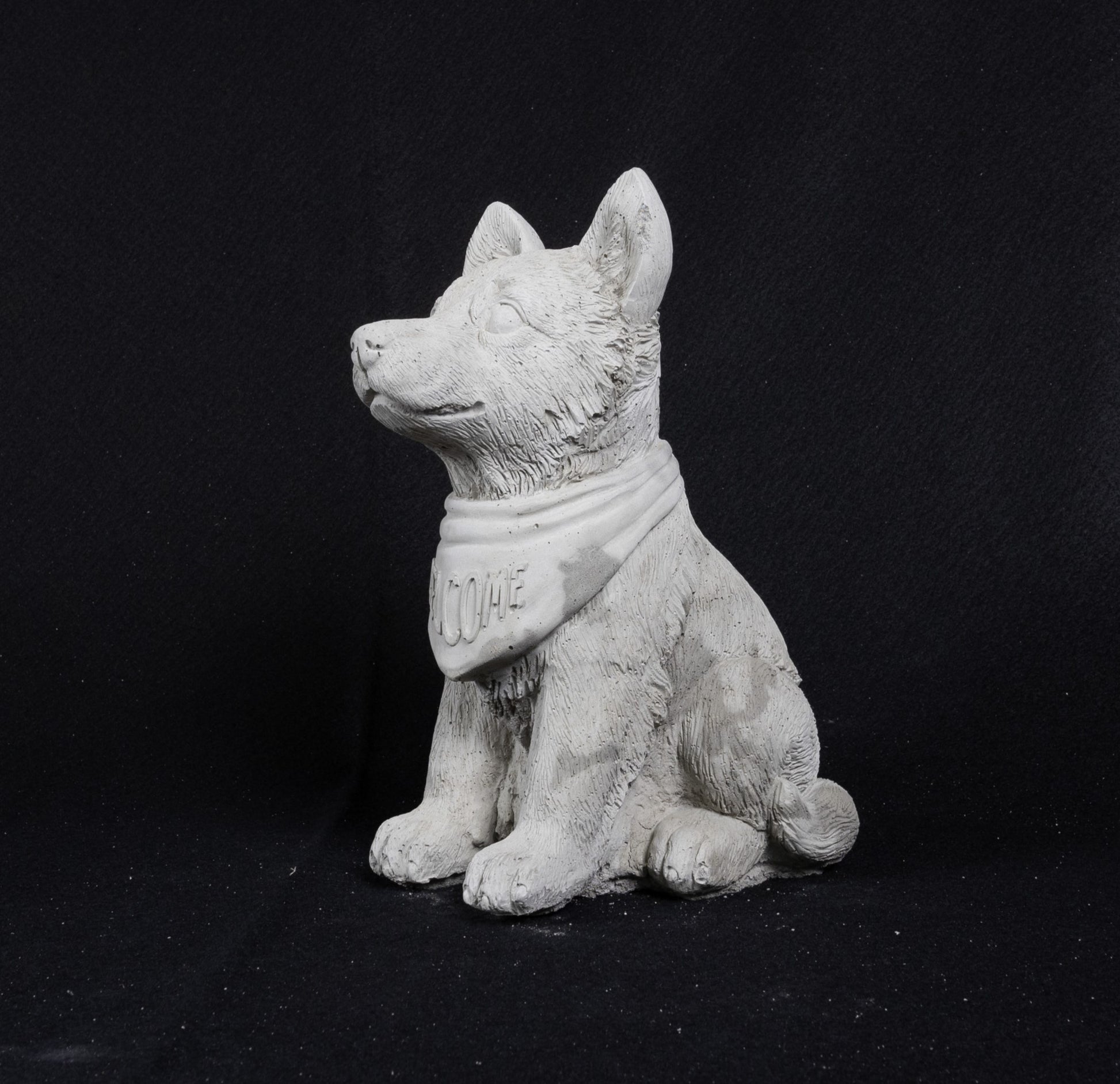 Bandana Welcome Dog