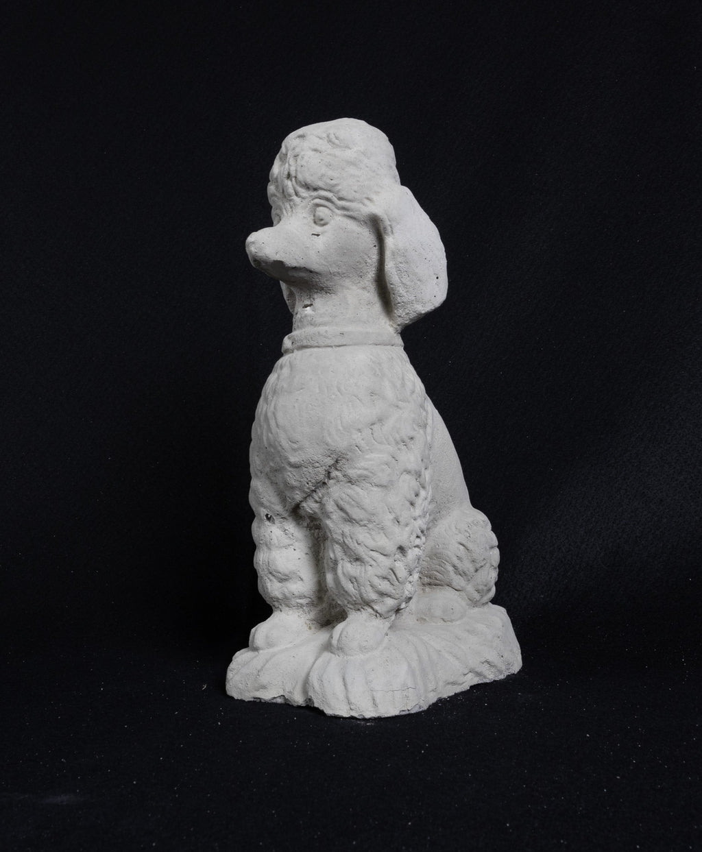 Poodle