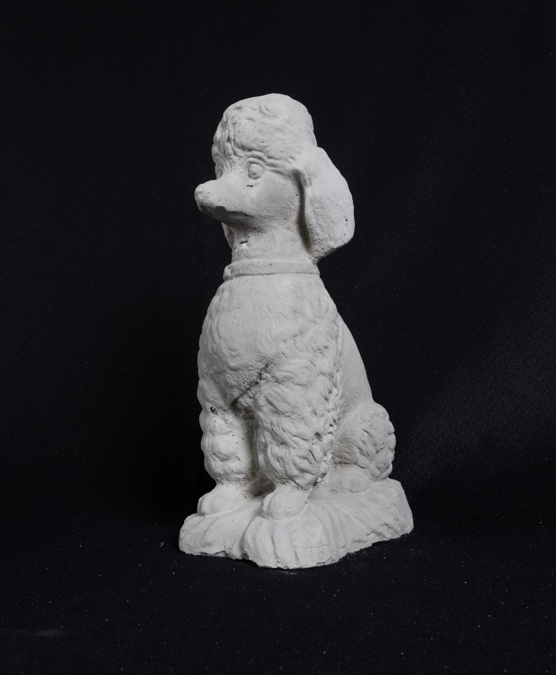 Poodle