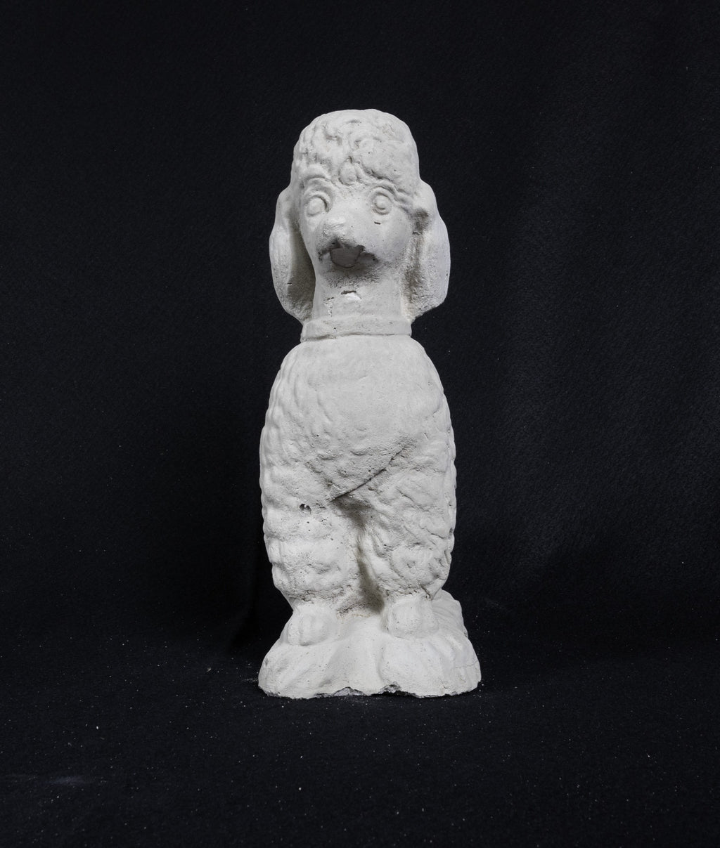 Poodle
