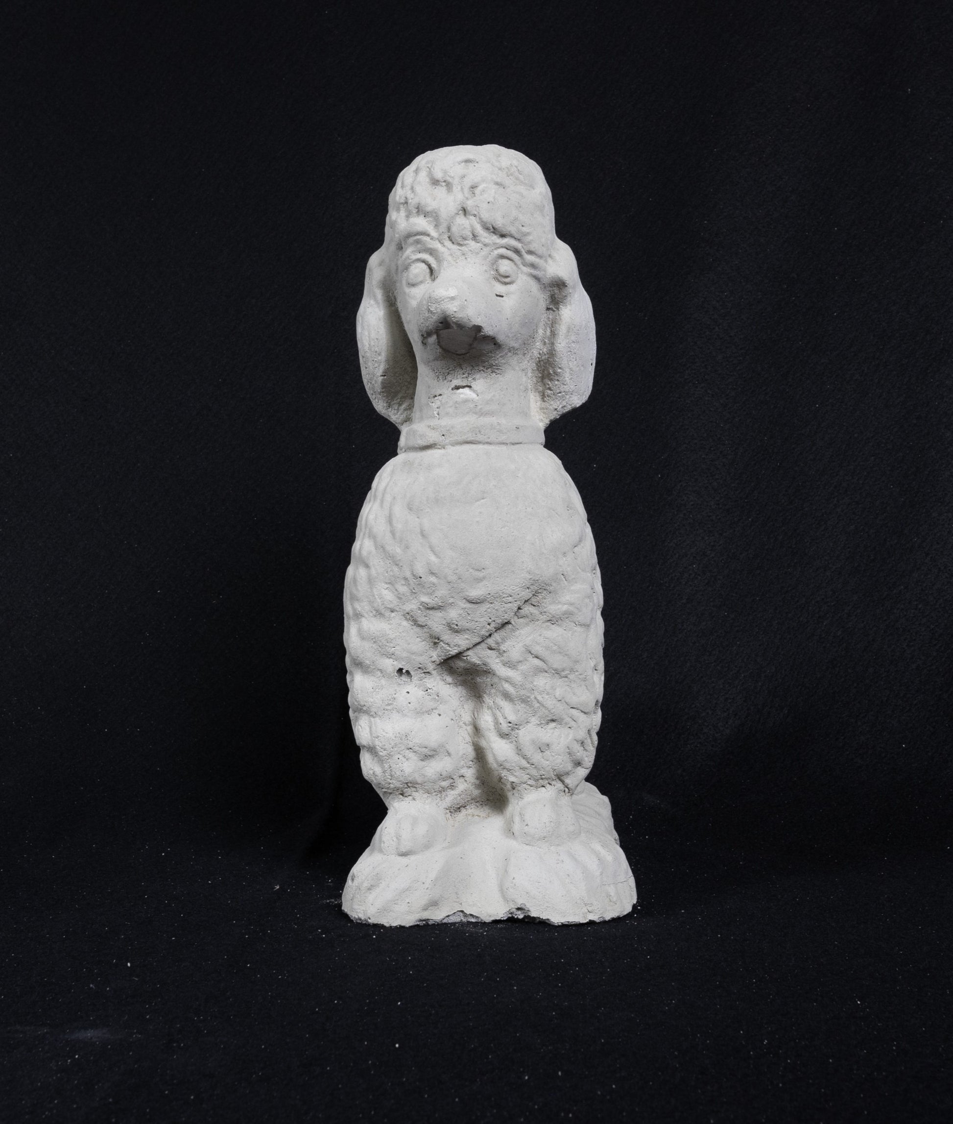 Poodle