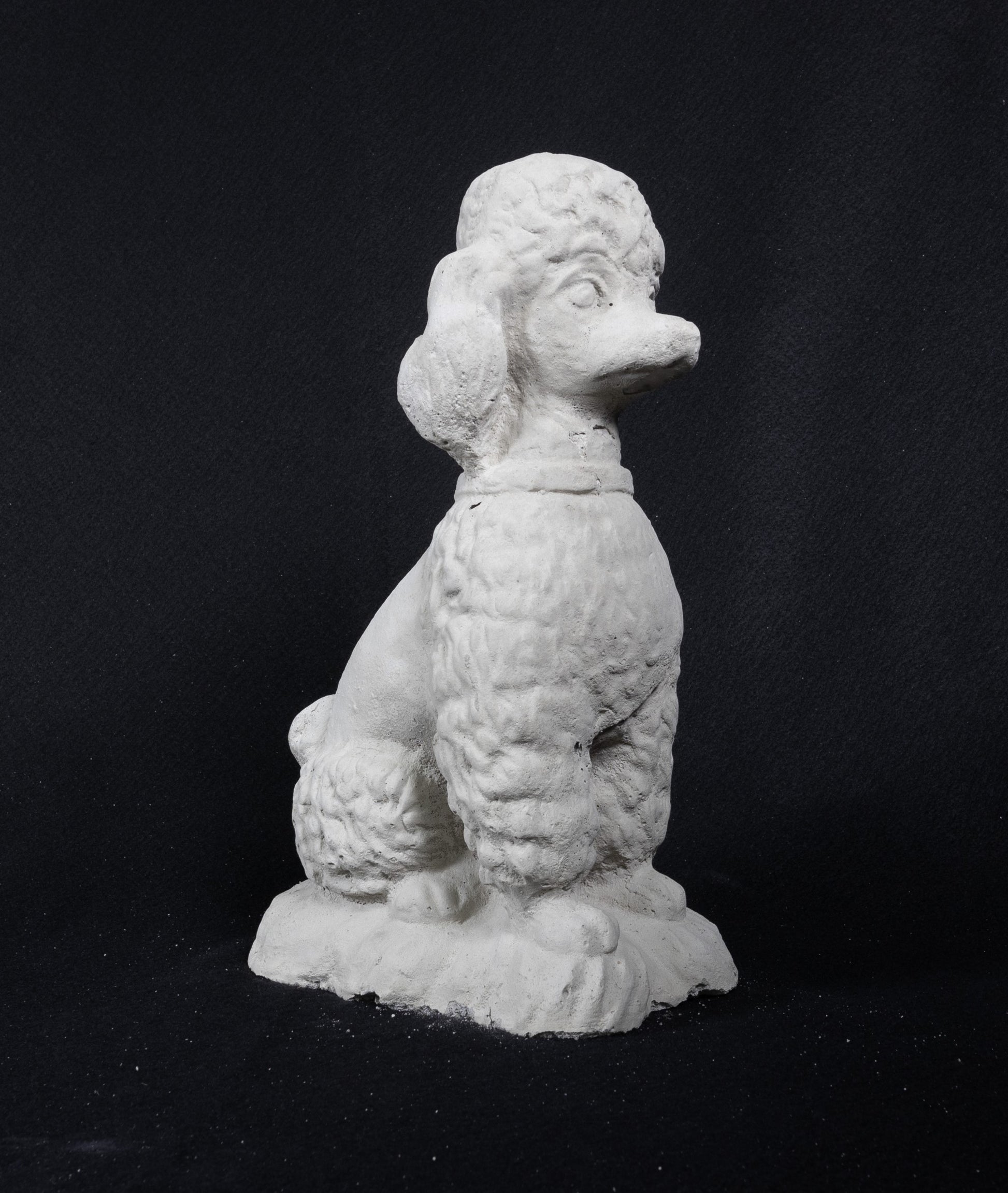 Poodle