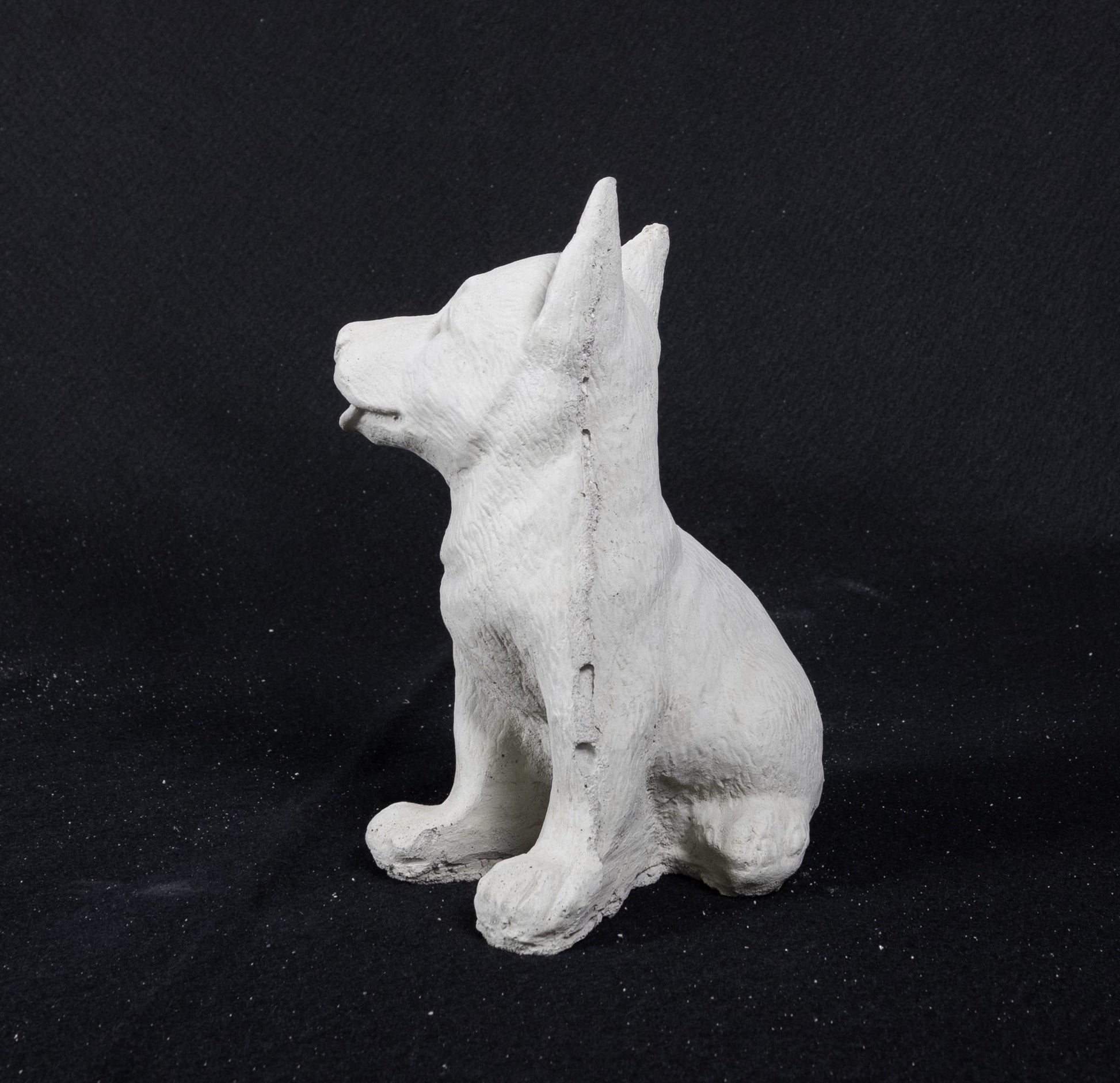 German Shepherd (Baby)