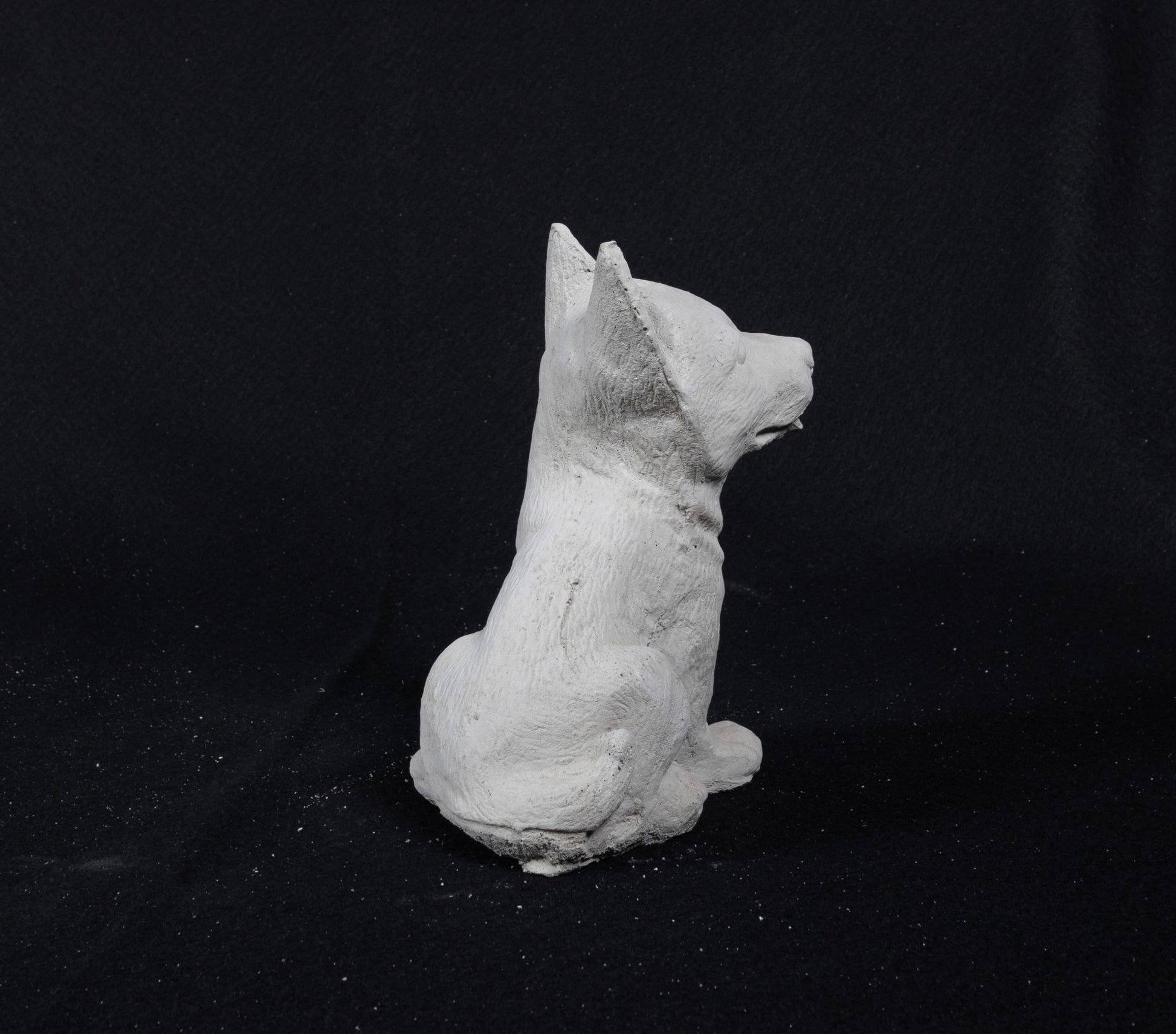 German Shepherd (Baby)