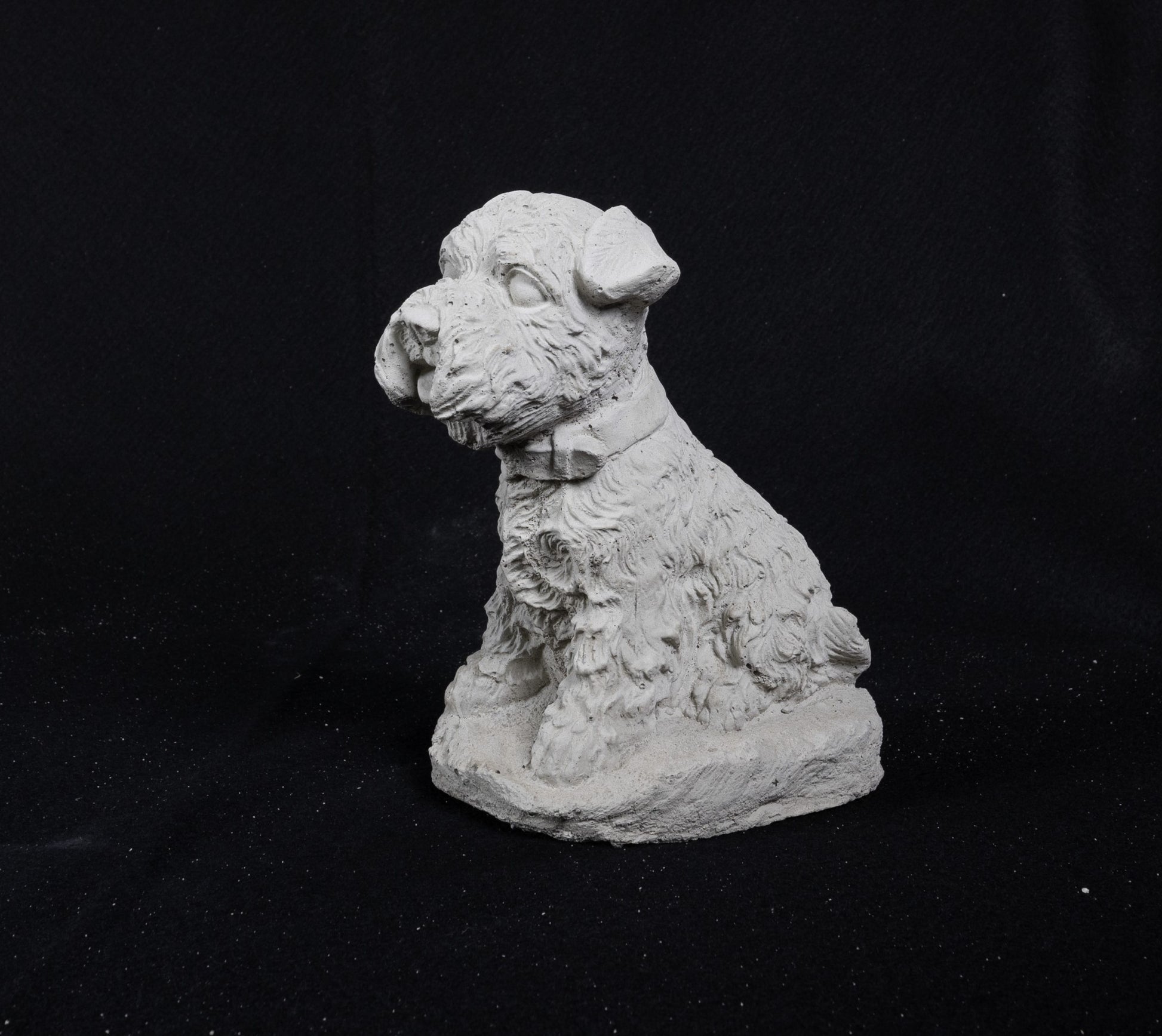Terrier