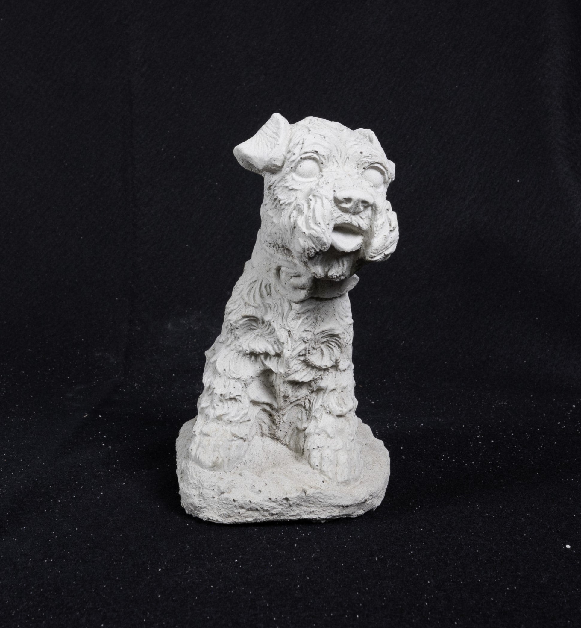 Terrier