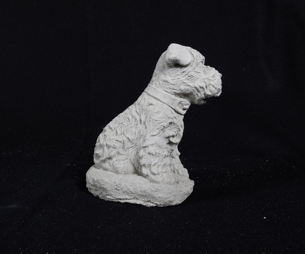 Terrier