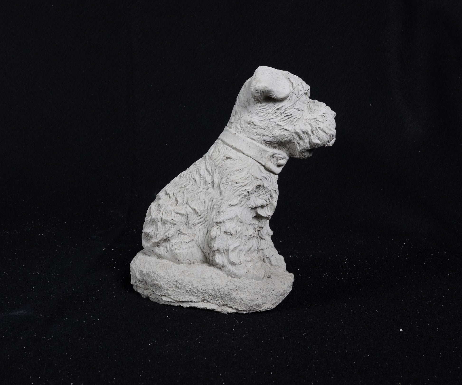Terrier