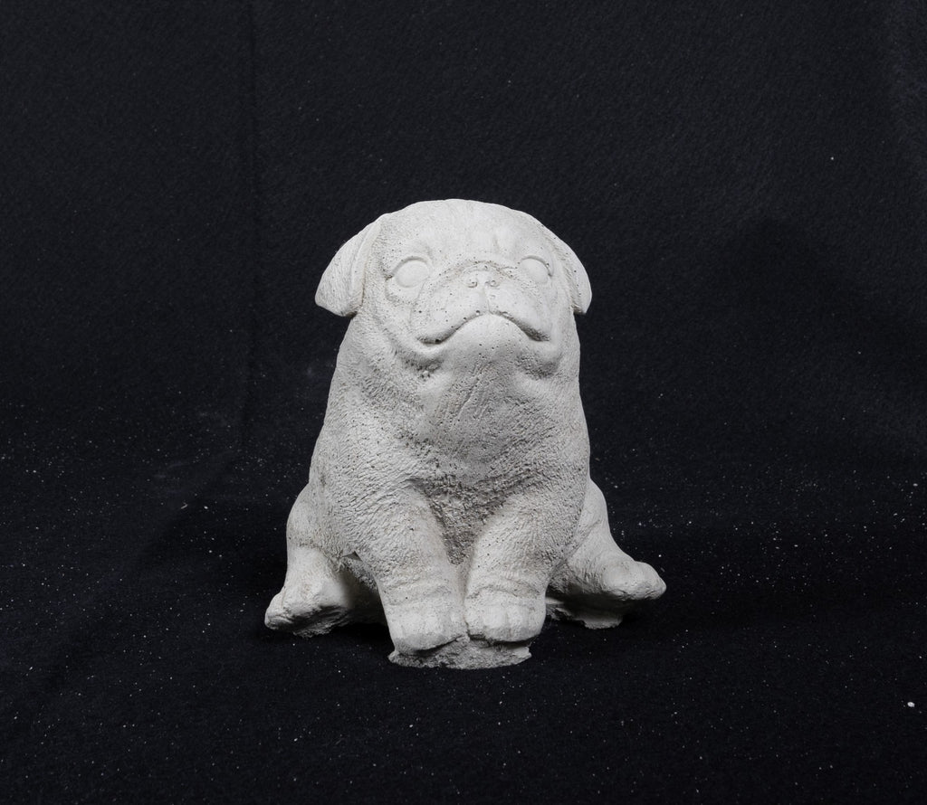 Pug