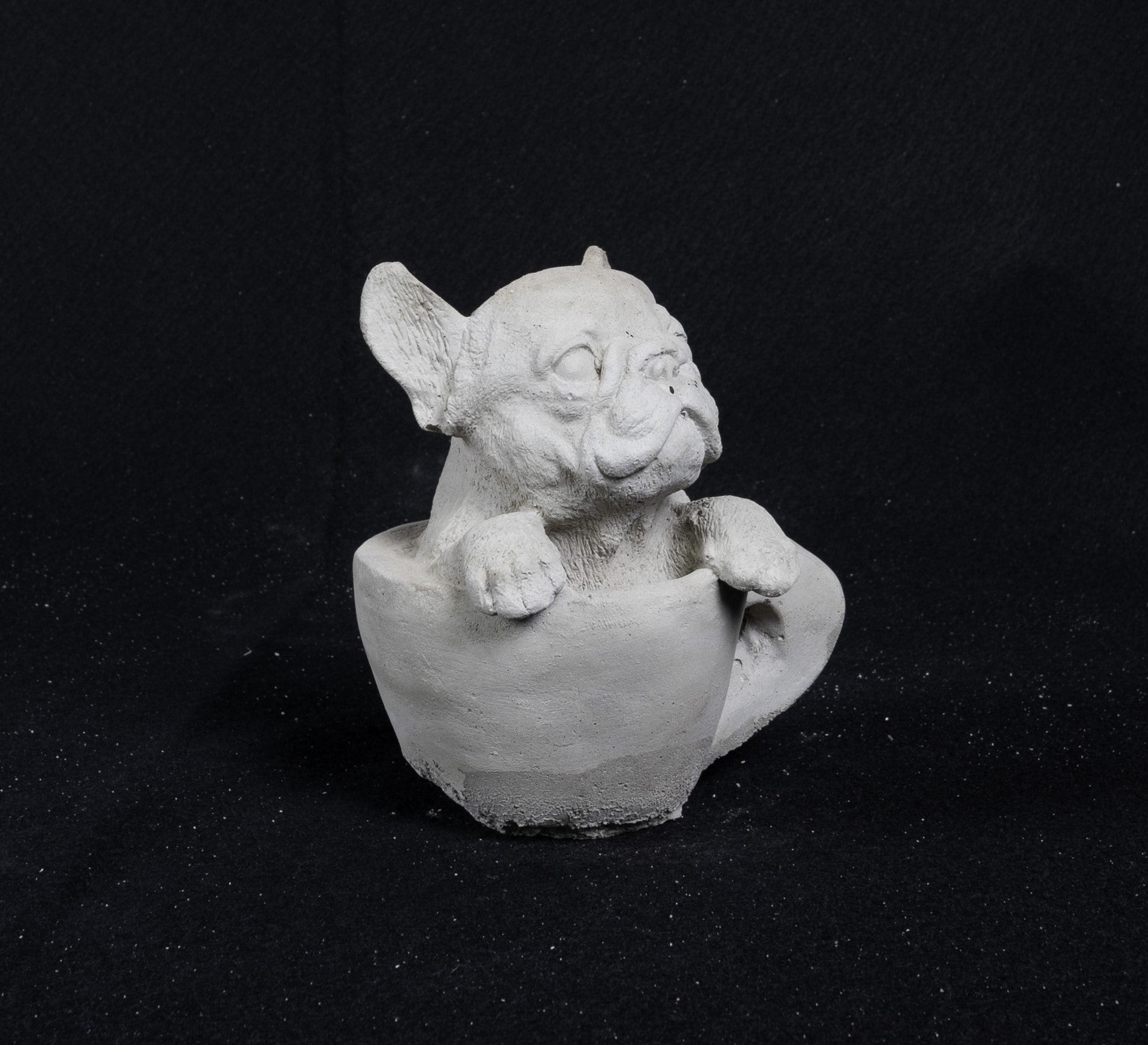Dog in Tea Cup