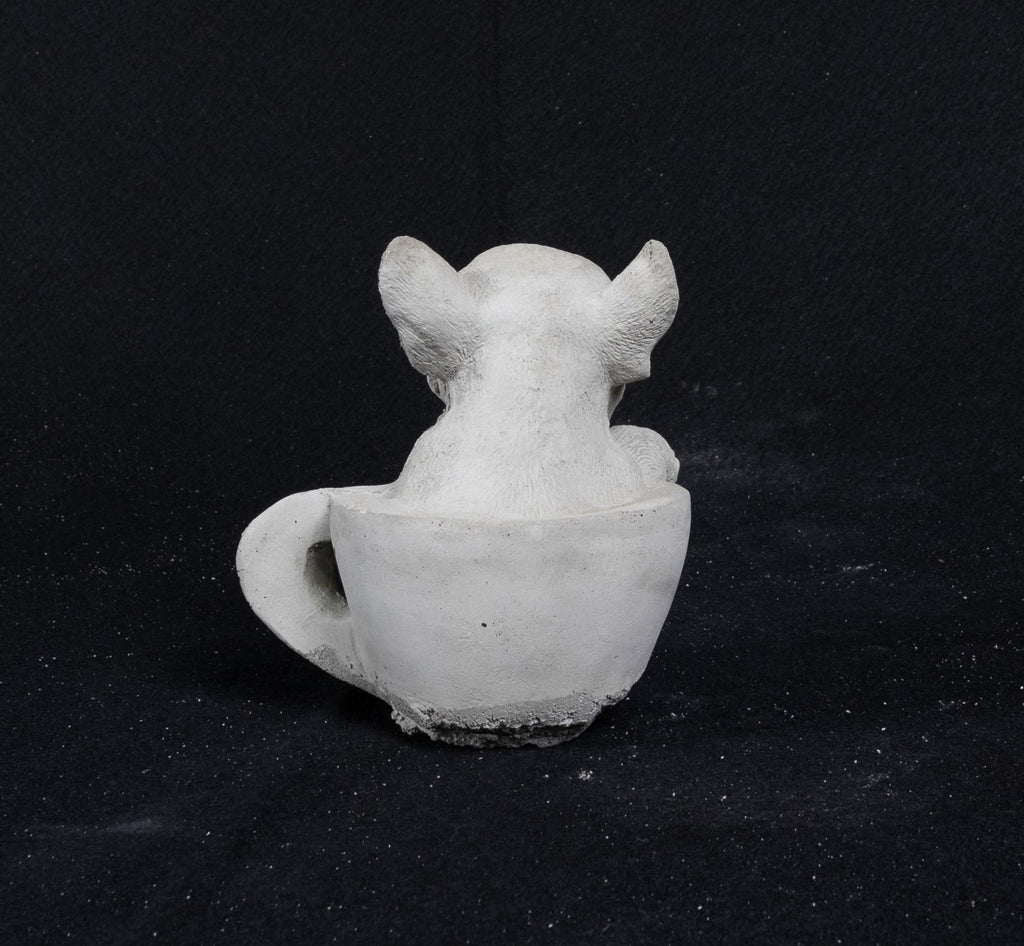 Dog in Tea Cup