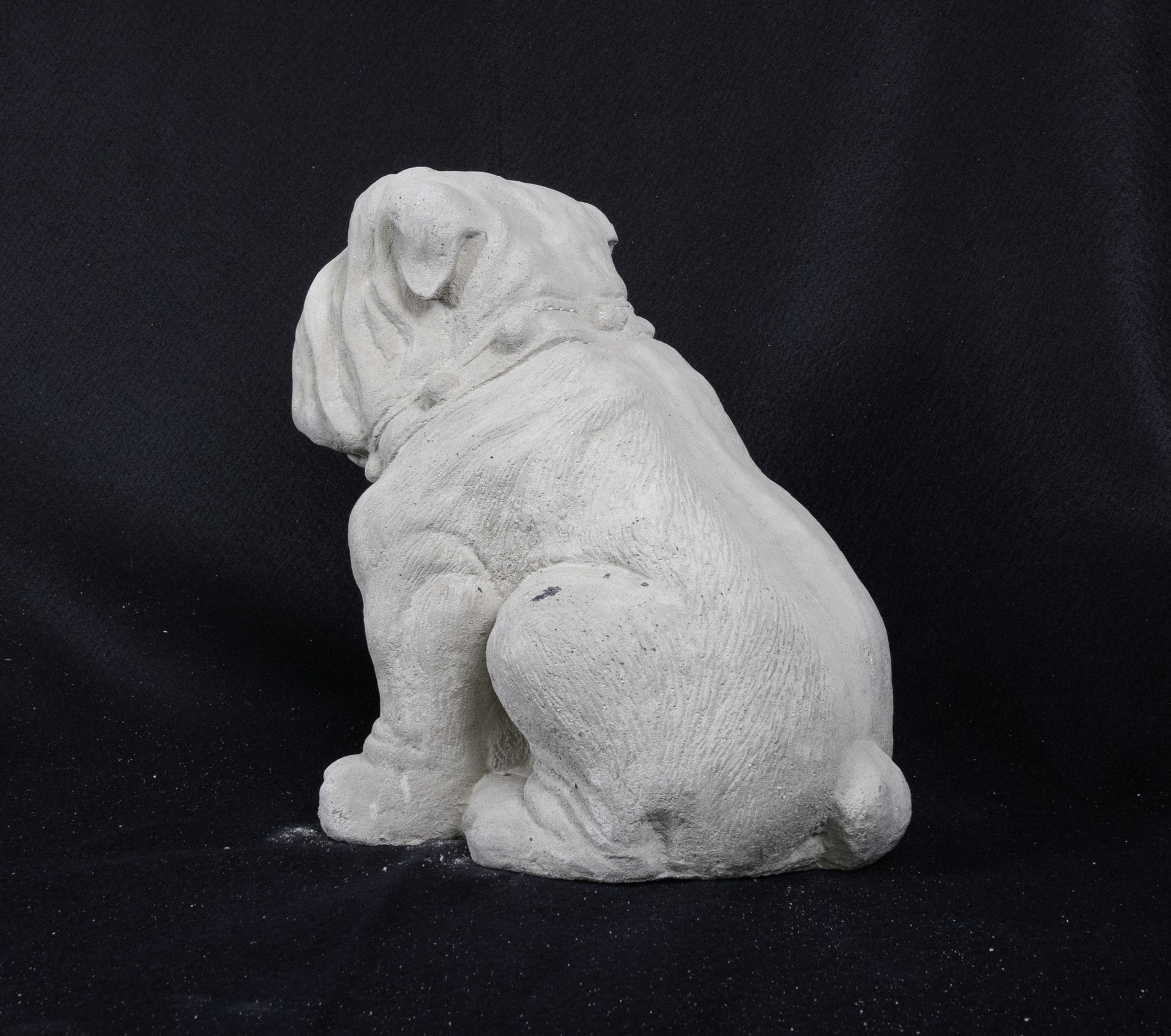 English Bull Dog (Medium)