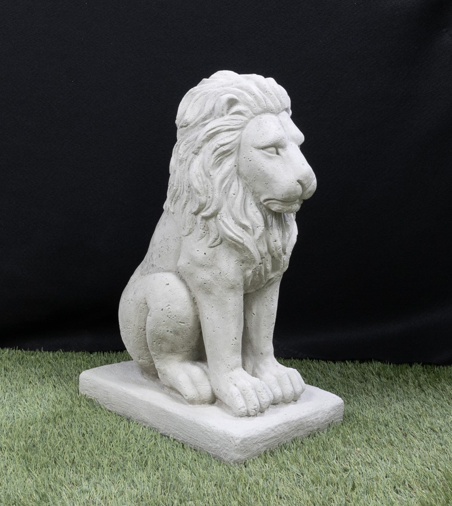 Lion 21" (Single Base)
