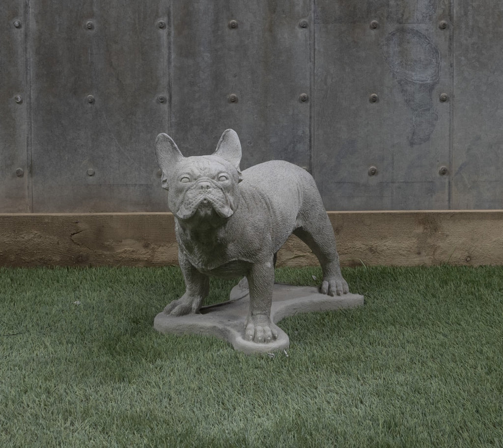 Standing French Bulldog