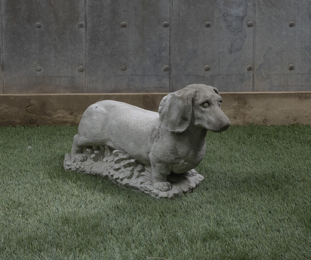 Standing Dashund