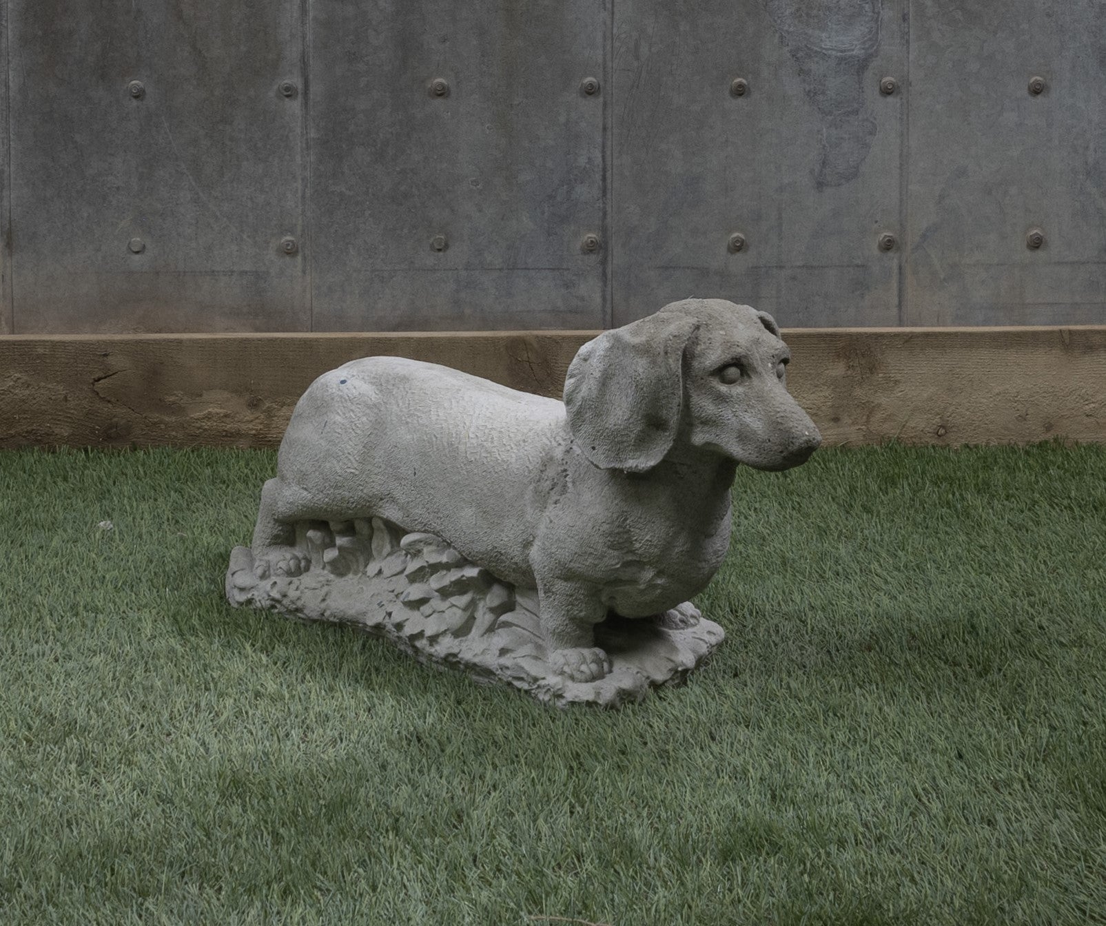 Standing Dashund