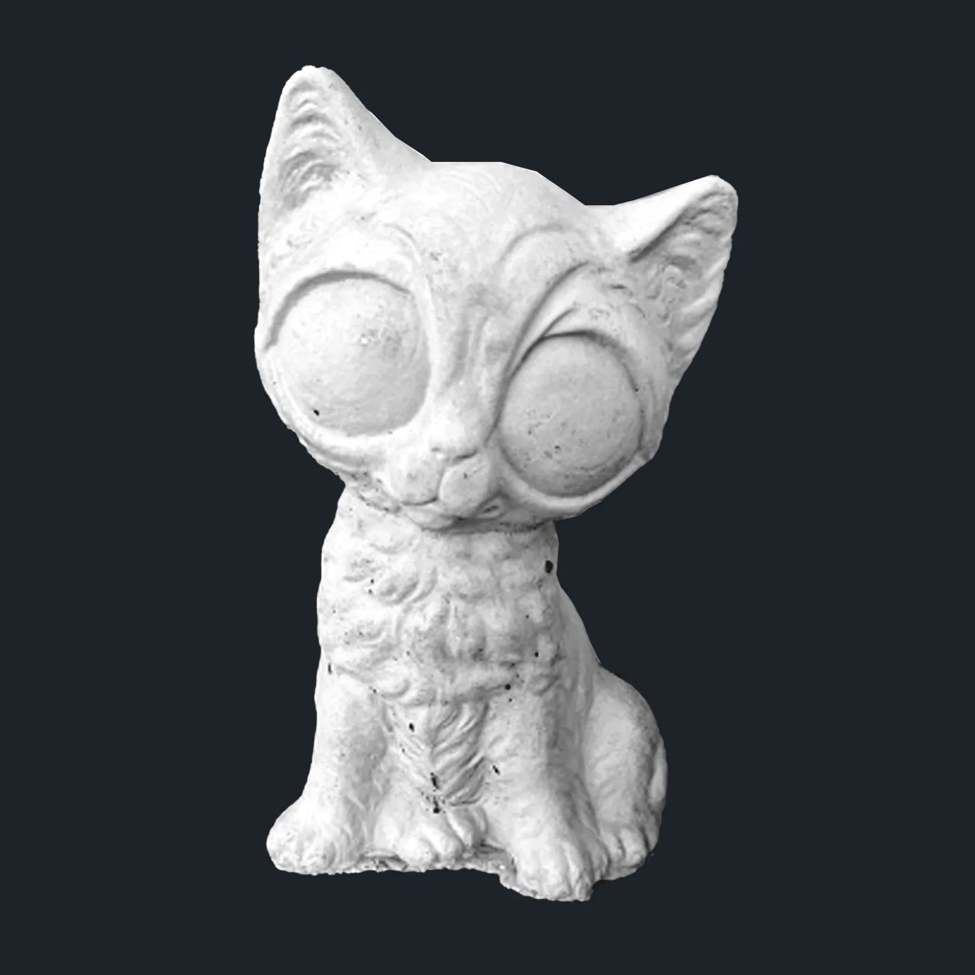 Big Eyed Cat