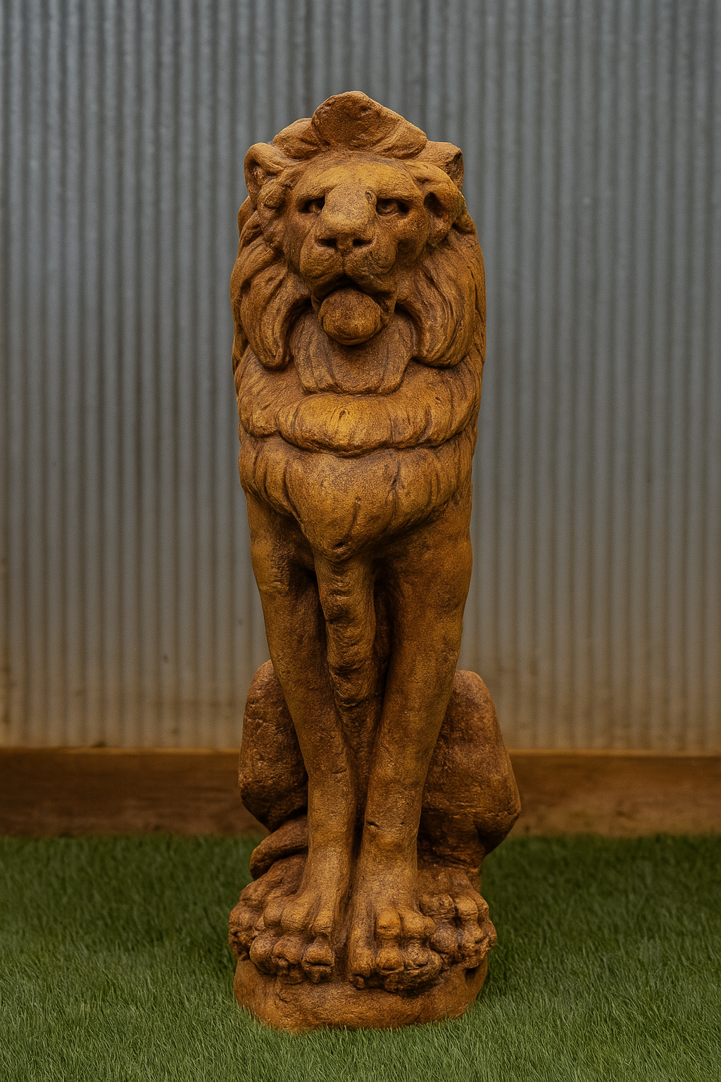Lion 29"