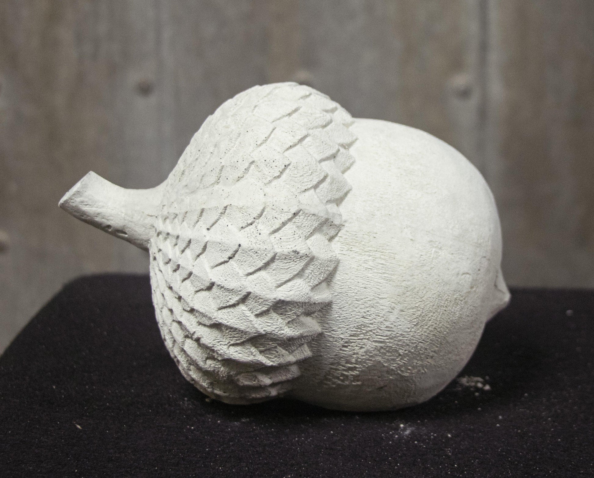 Acorn