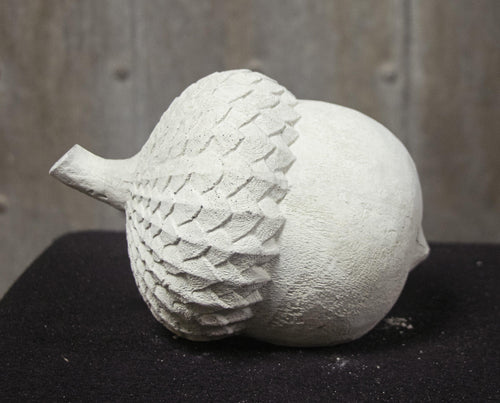 Acorn
