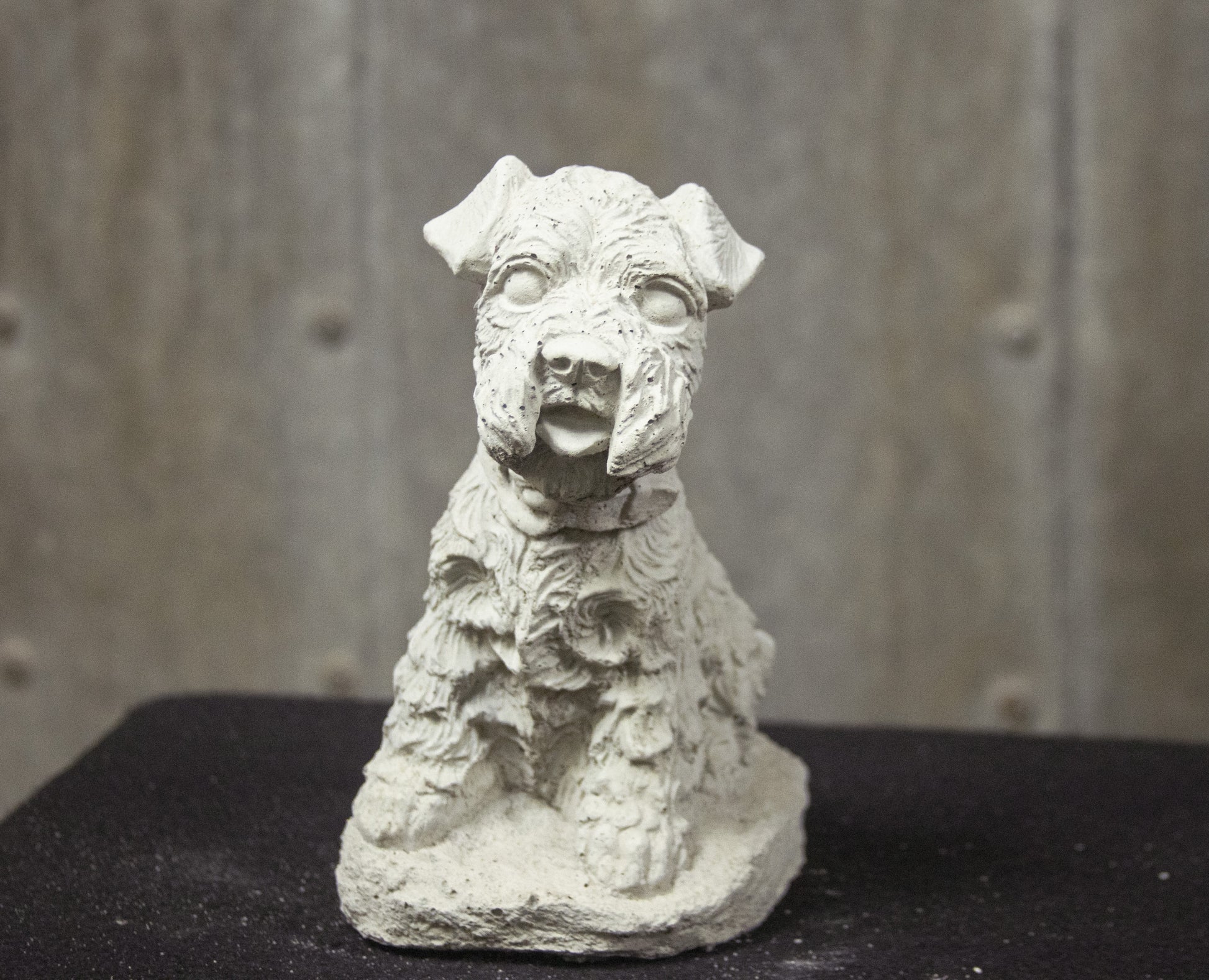 Terrier