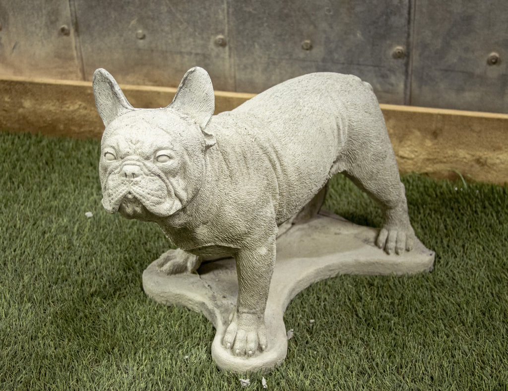 Standing French Bulldog