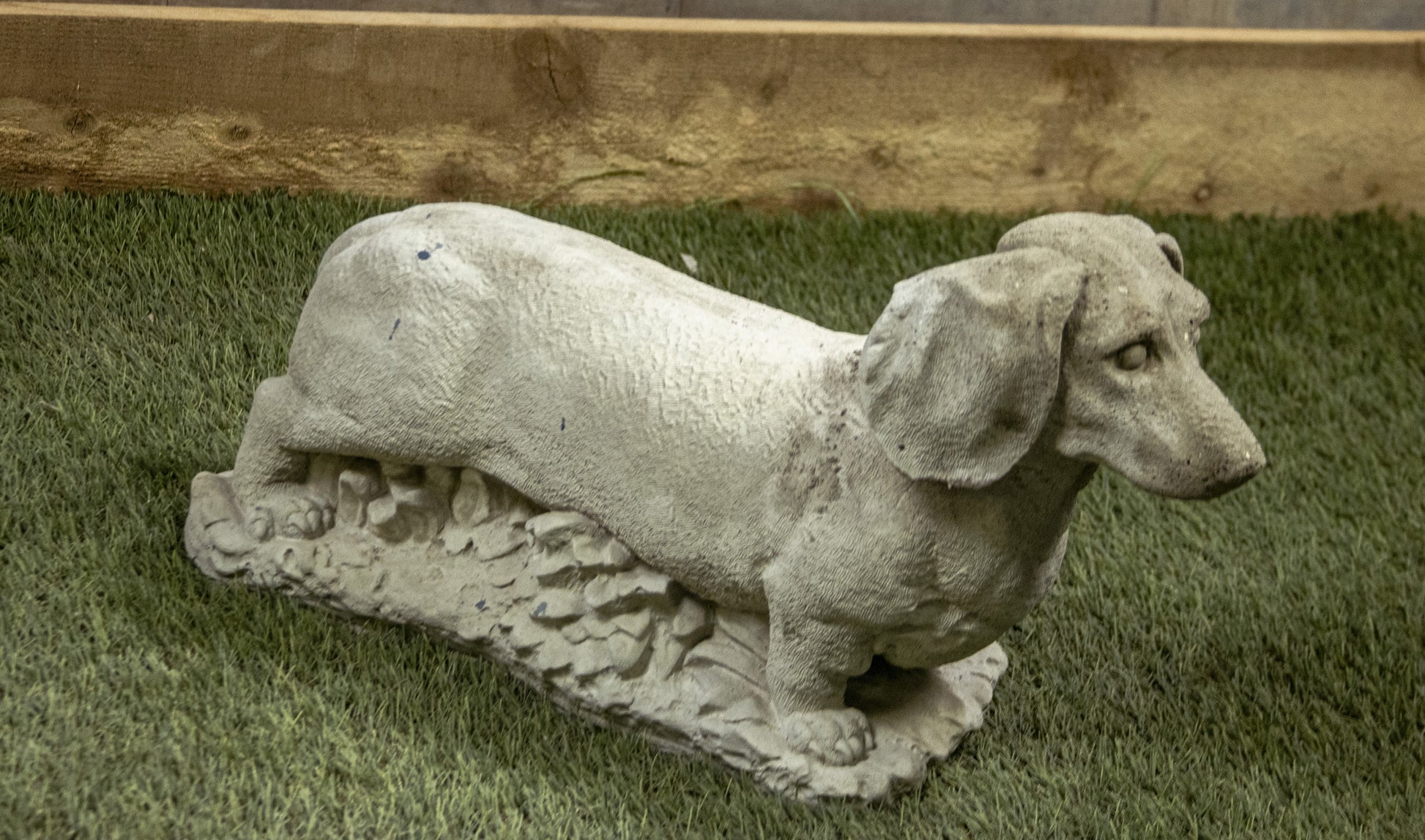 Standing Dashund