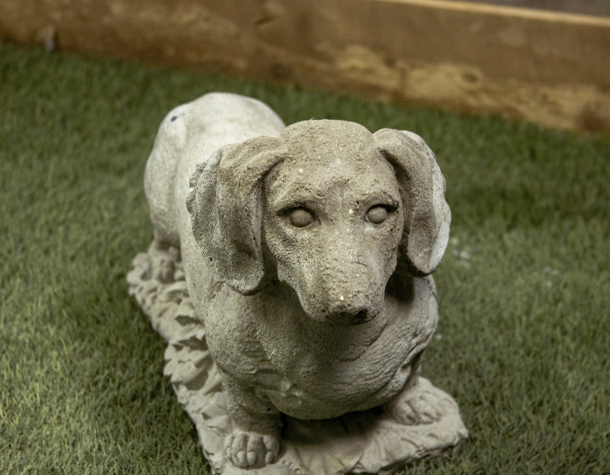 Standing Dashund