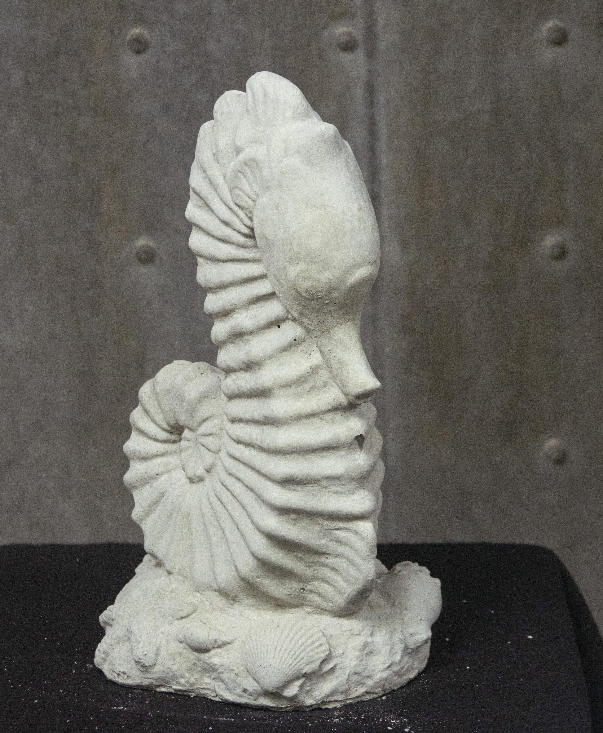 Seahorse - Medium