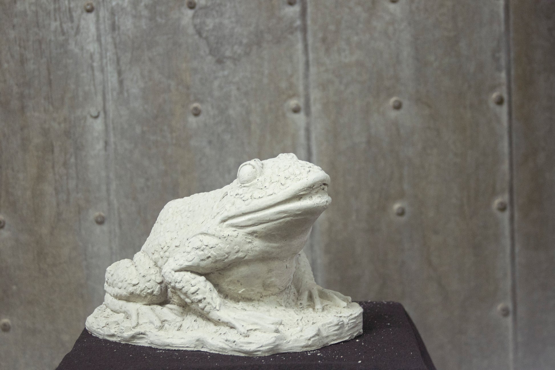 Toad Bumpy