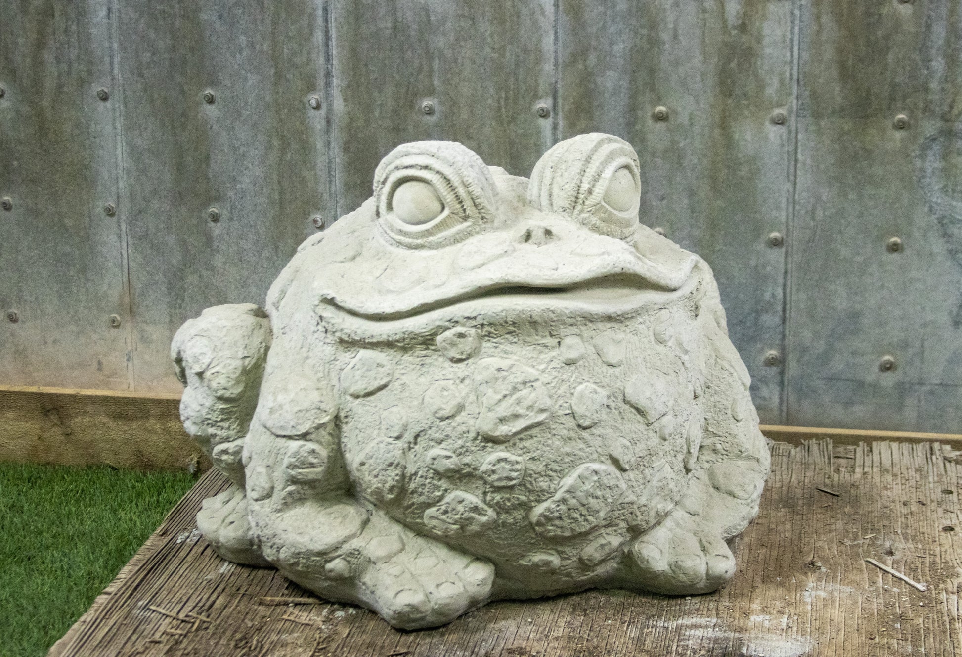Lumpy Frog
