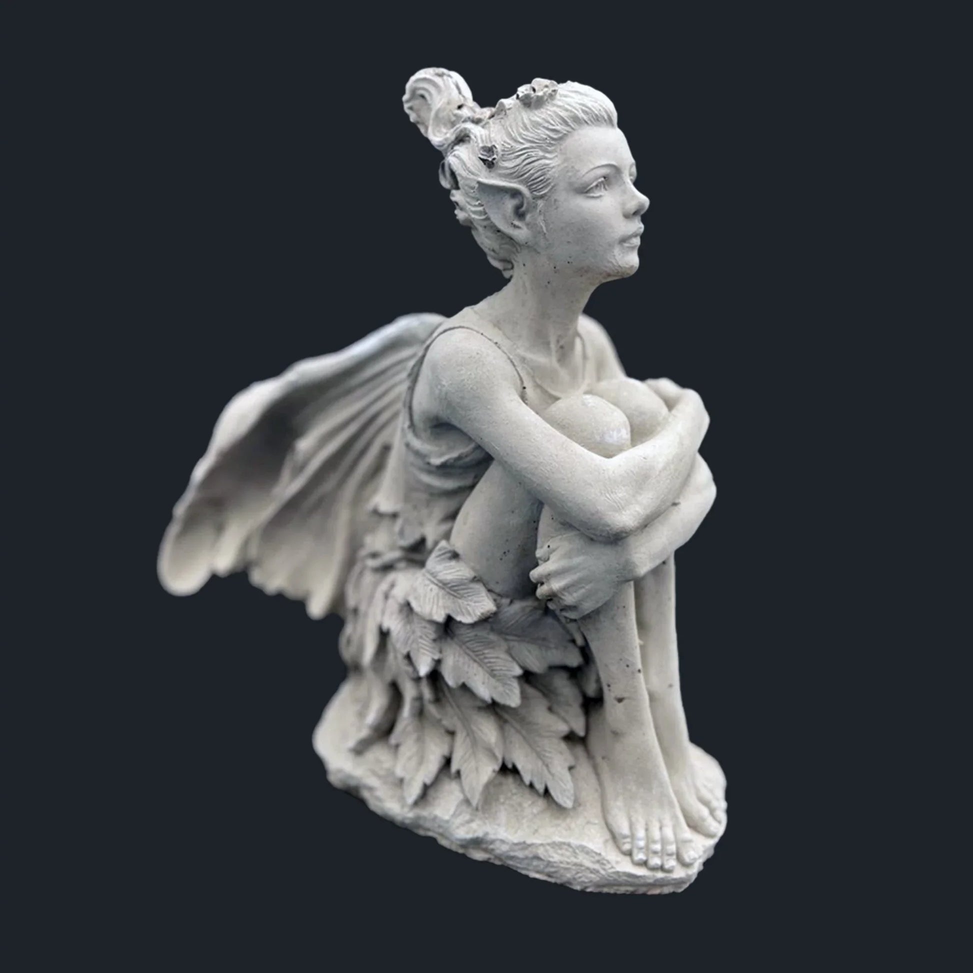 Fairy