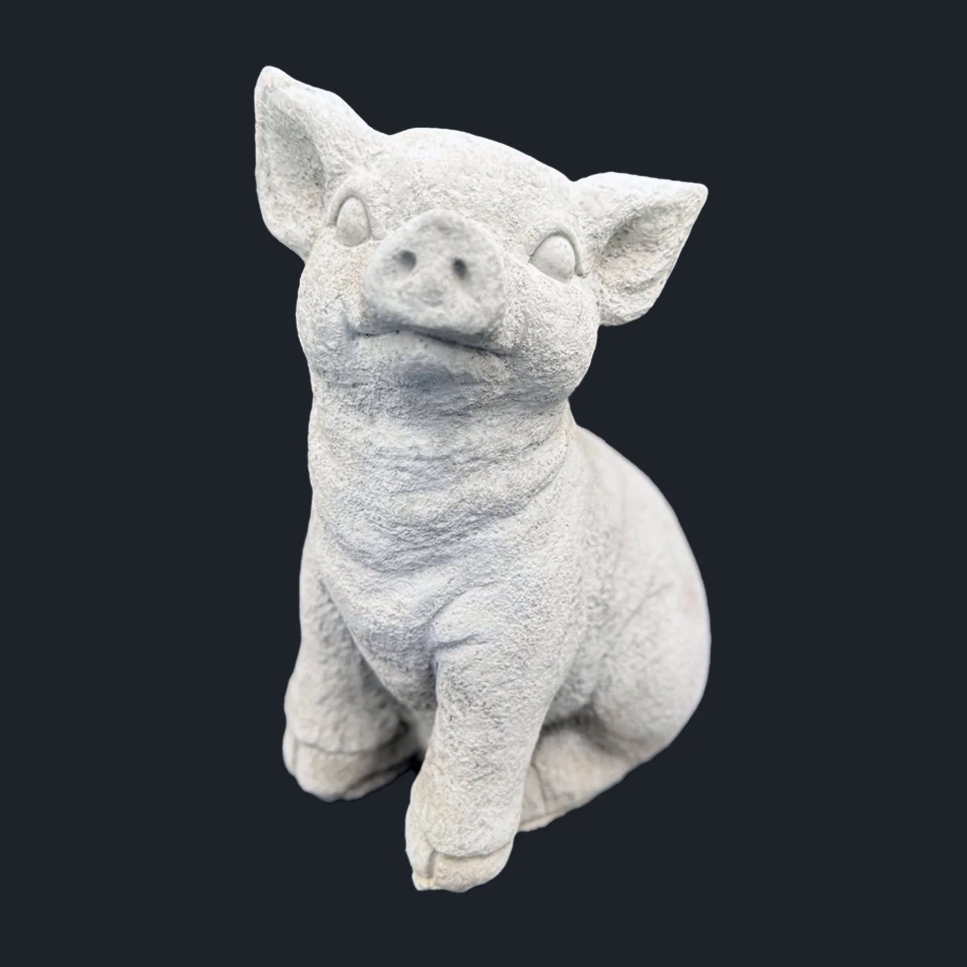 Pig