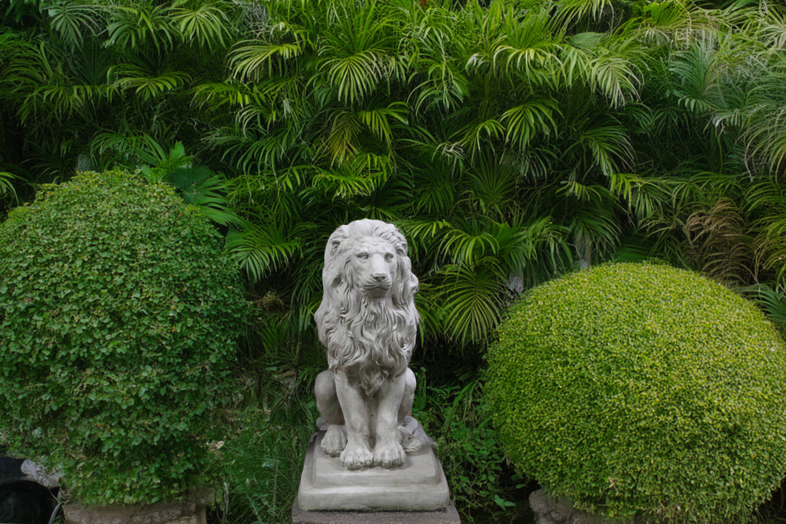 Lion 22" (Double Base)