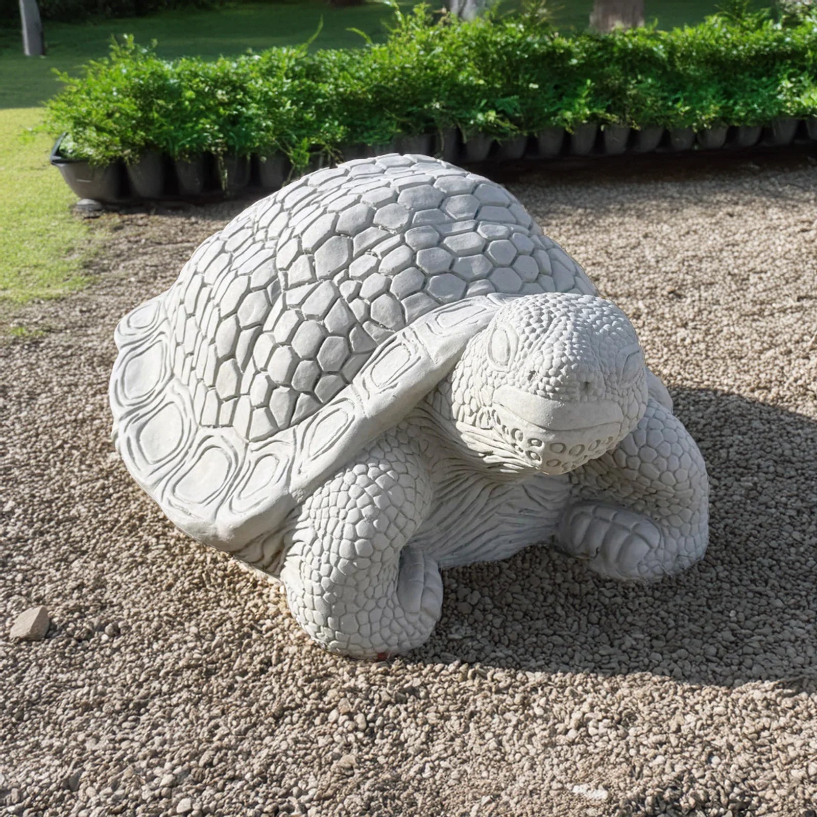 Turtle - XL